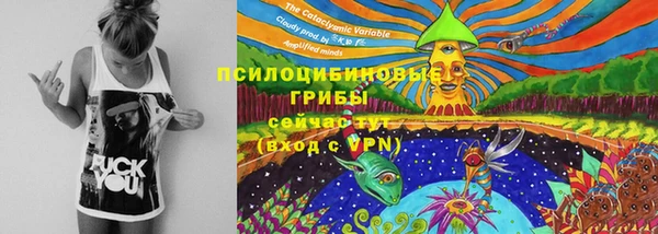 мяу мяу мука Новодвинск