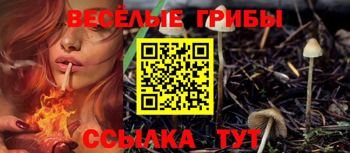 Галлюциногенные грибы Cubensis  как найти закладки  Вход с VPN  Печора  Галлюциногенные грибы Cubensis 