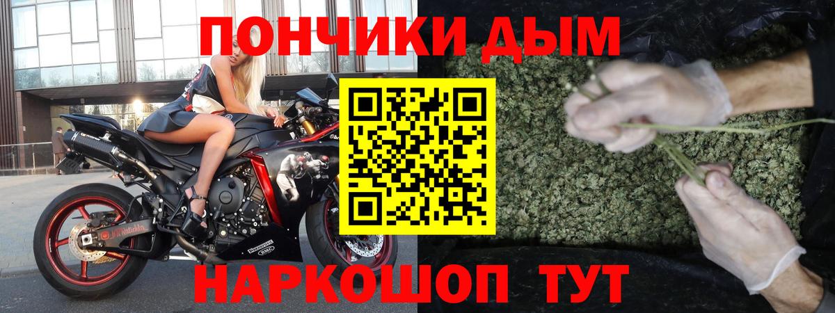 Печора  Марихуана сатива  Бошки марихуана планчик  Вход с VPN 